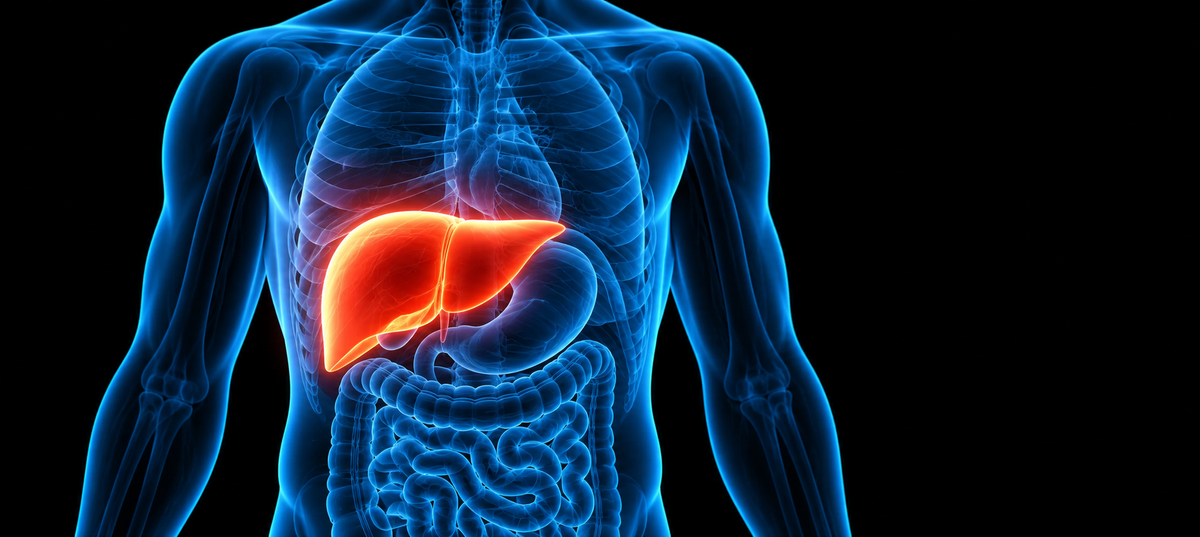 Liver Health