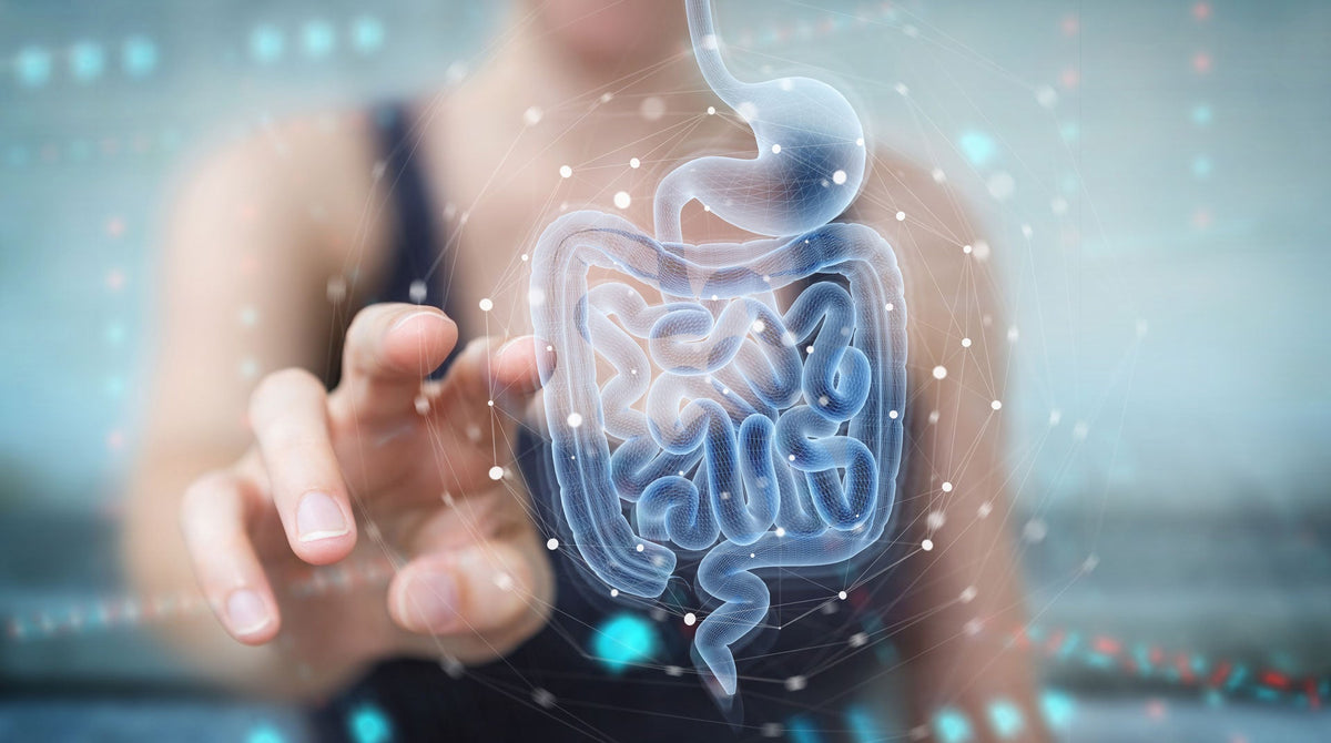 Digestive Health