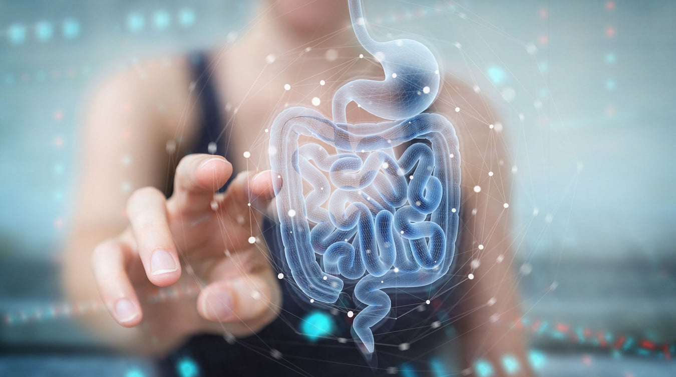 Digestive Health