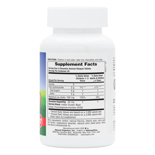 Animal Parade® MagKidz™ Children's Chewables