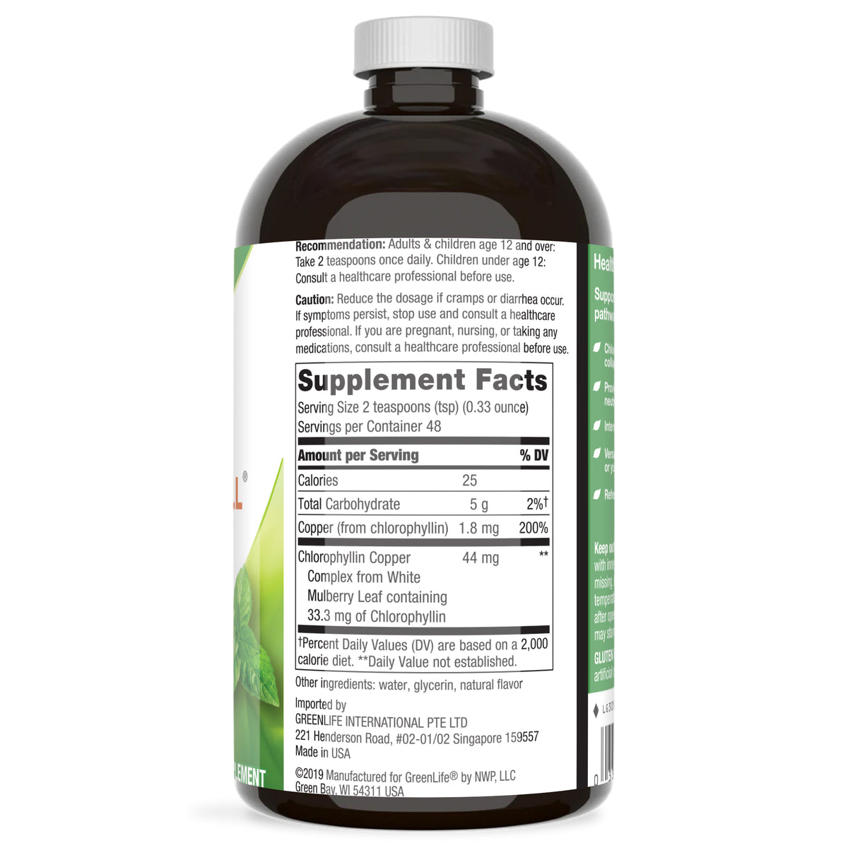Chlorophyll (Mint) Liquid 473 ml - GreenLife Singapore