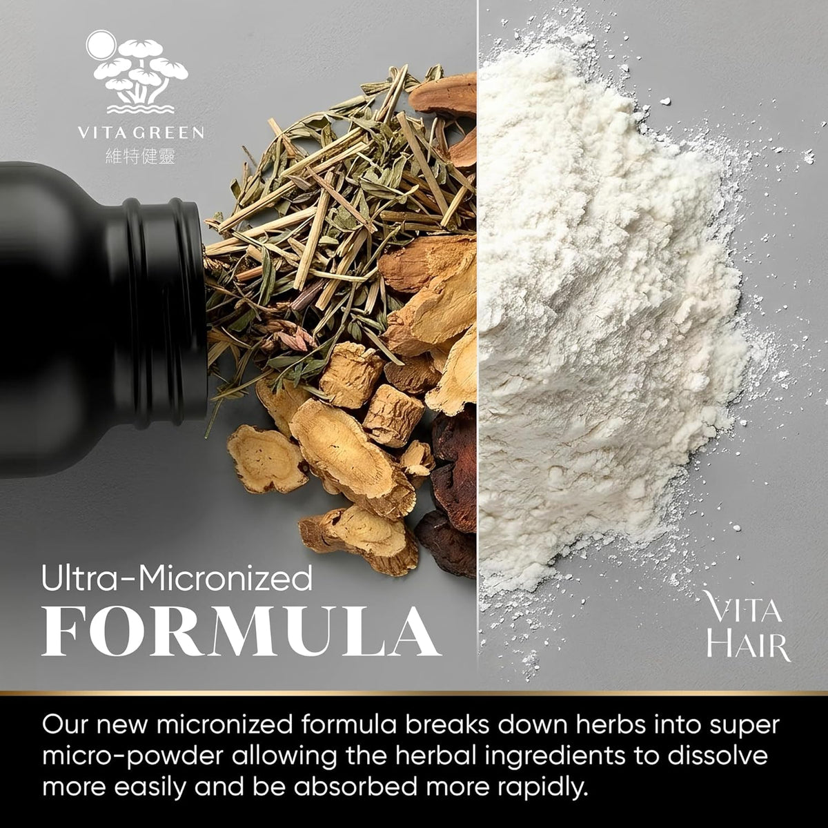 Vita Hair Micronized 108 capsules
