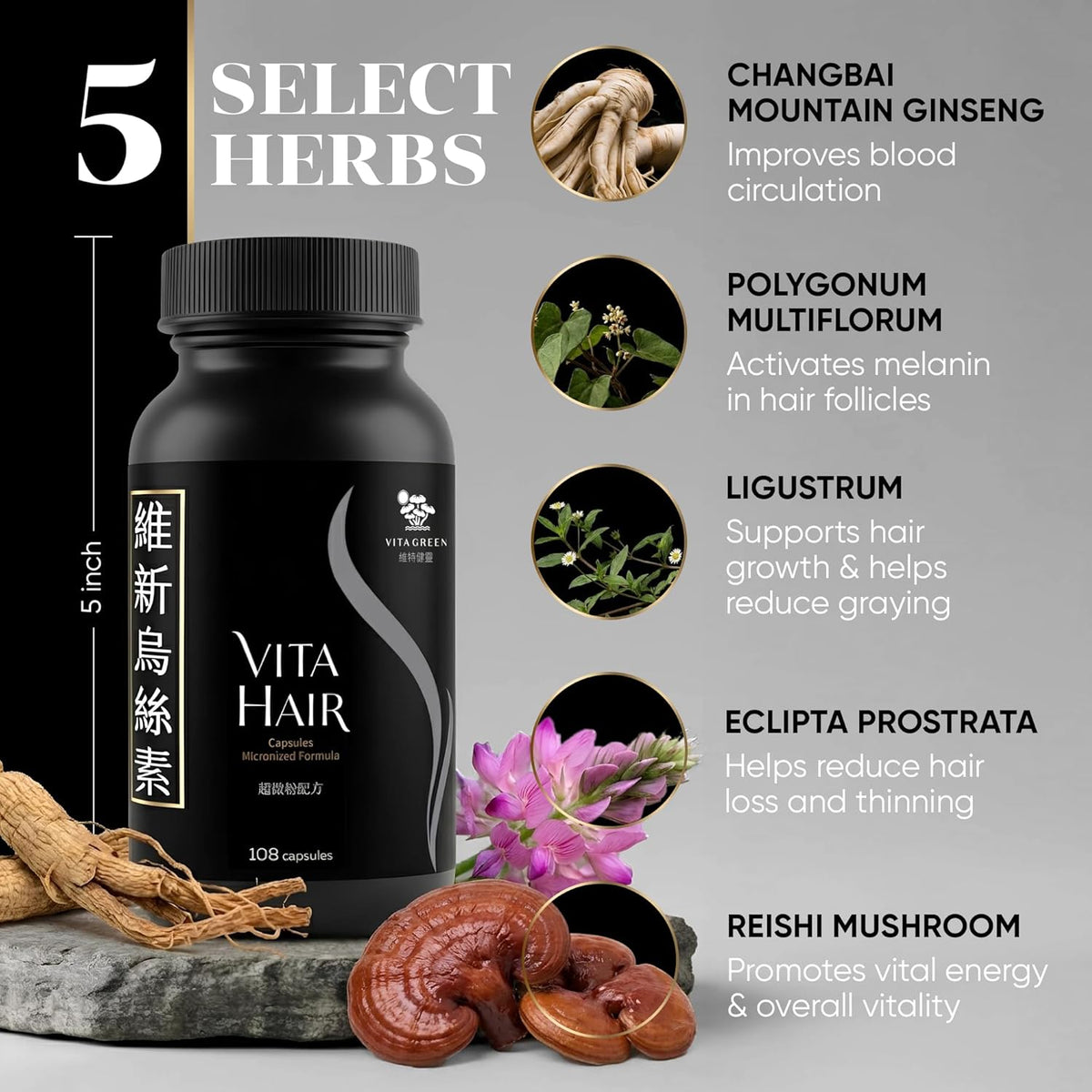 Vita Hair Micronized 108 capsules